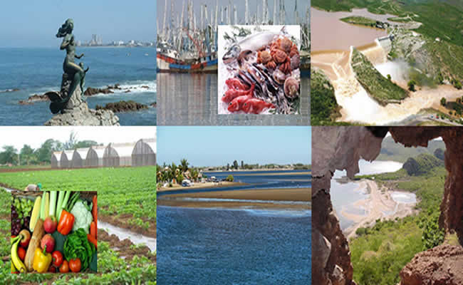 Collage de paisajes diversos, en Sinaloa