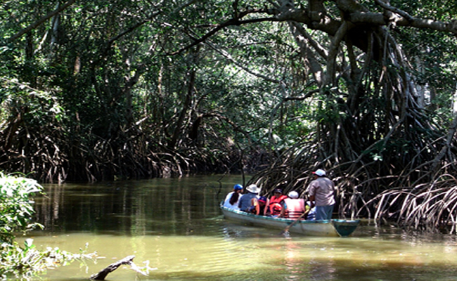 Pantanos de Centla, en Tabasco