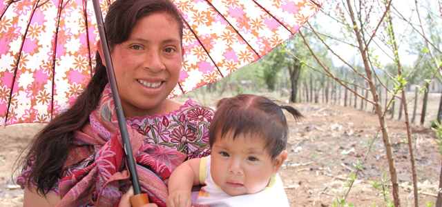 Apoyo a las Instancias de Mujeres en las Entidades Federativas