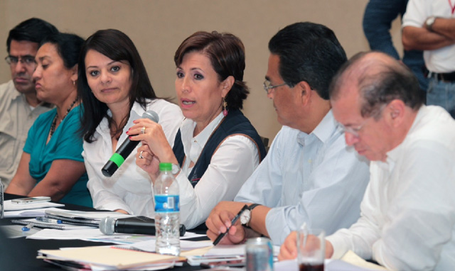 Avanza conformación del Comité Estatal para la Reconstrucción de Guerrero: Sedesol
