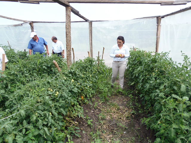 Construirán Sedesol y Sagarpa 5 mil huertos familiares en El Nayar