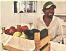ALOJAMIENTO Y COMIDA