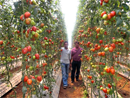 LANZA SEDESOL CONVOCATORIA PARA IMPULSO PRODUCTIVO