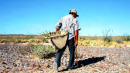 PLANTEAN MODIFICAR APOYOS DEL PROAGRO