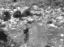 BM: HAY MÁS DE 500 BASUREROS MUY PELIGROSOS