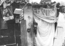 BUSCAN REHABILITAR LA CALLE CRISANTEMA