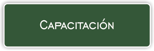ón en Línea